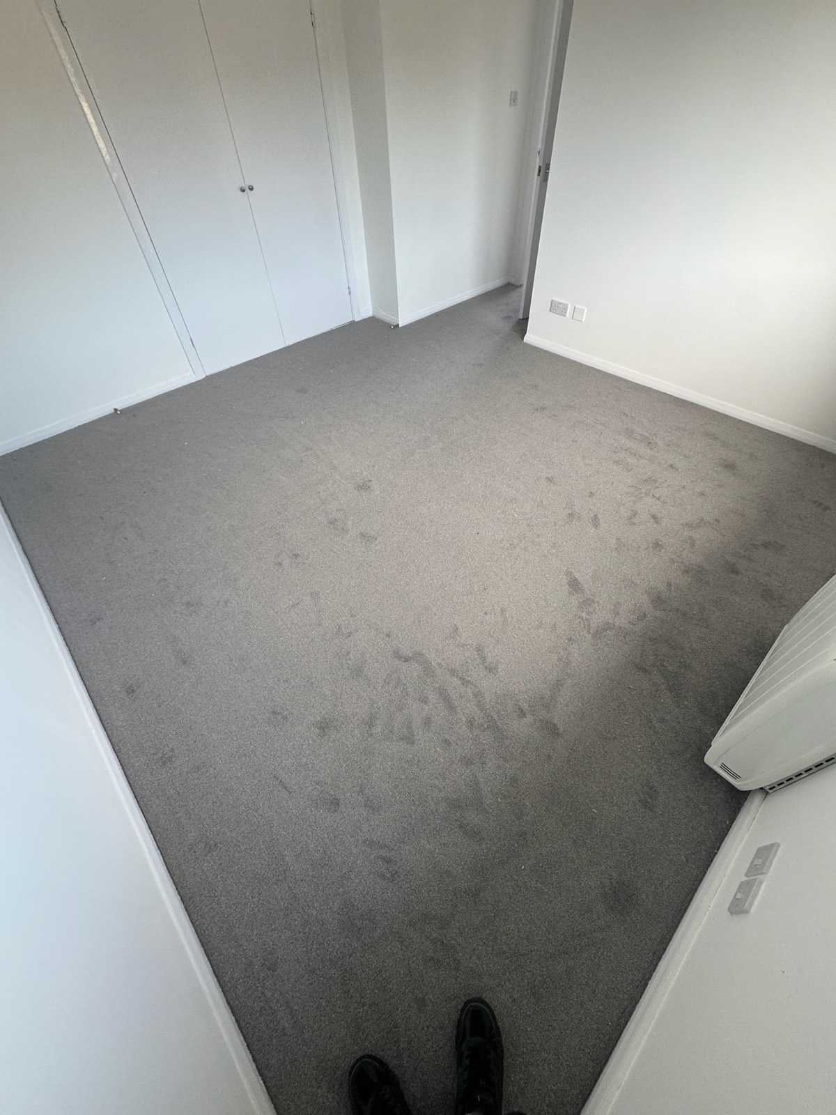 Apartment carpet installation, finished view
