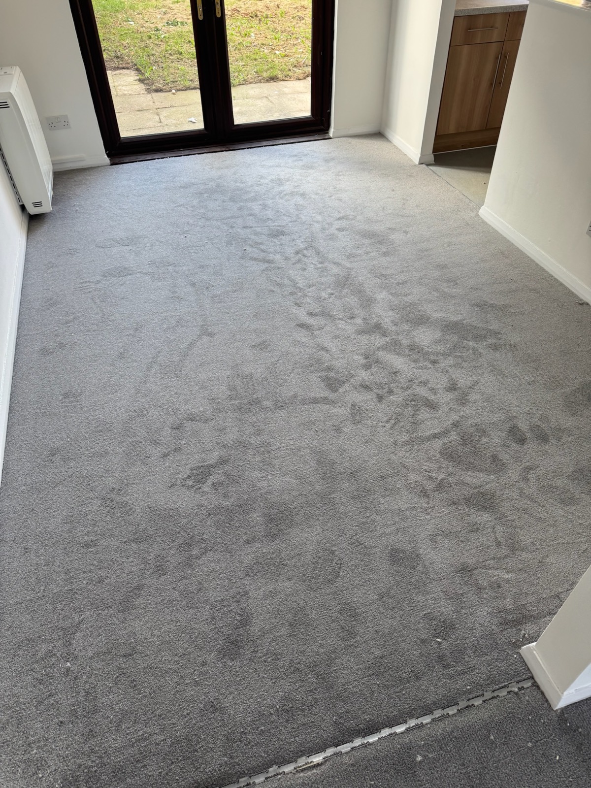 Living room after new carpet installation